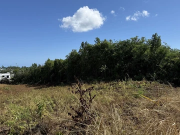 Land