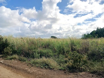 Terrain Agricole