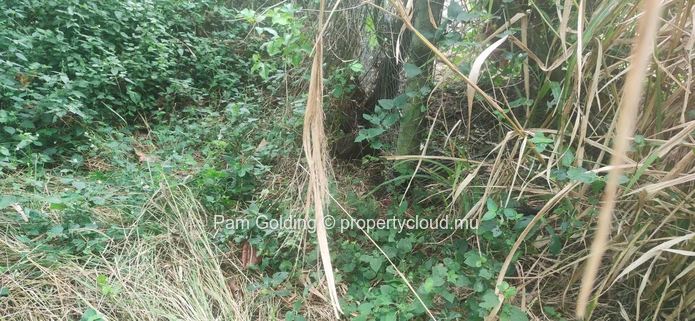Saint Antoine – Land for sale – Pam Golding Mauritius