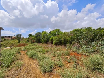 Residential Land