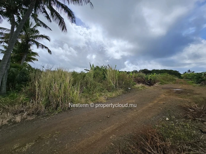 Agricultural Land of 8,146.10m² 