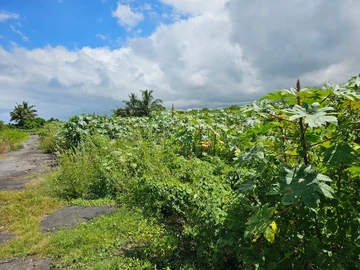 Residential Land