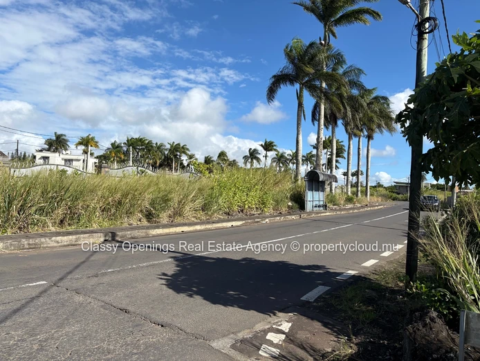 Palm-lined 517 m² Corner Plot in Highlands - Near Bus Stop