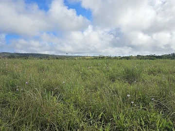 Residential Land