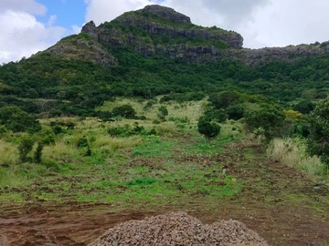 Residential Land