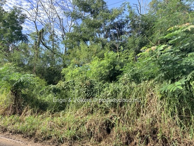 FOR SALE - Residential Land in Black River