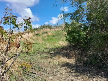 Residential Land