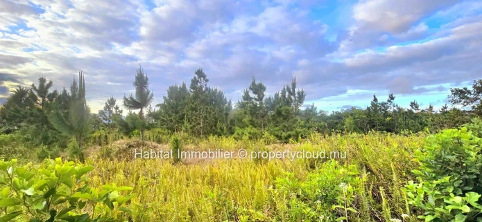 Superb plot of 345 toises (1,311 m² / 31 perches) located in a private gated community in Highlands