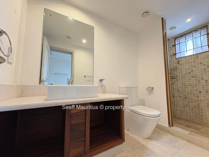 Renovated 3-bedroom apartment with sea & Le Morne views