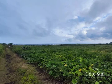 Agricultural Land