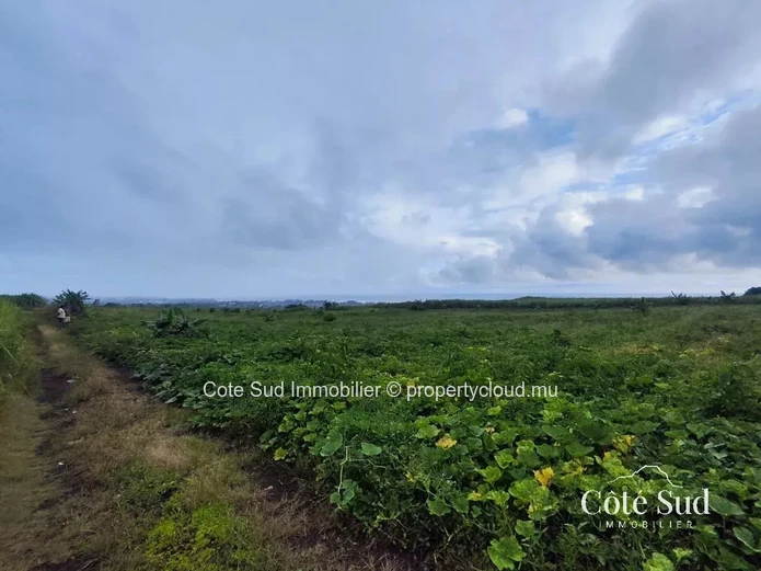 Spacious agricultural land in La Martinière, Savanne