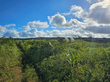 Agricultural Land
