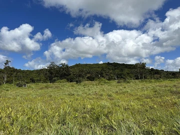 Terrain