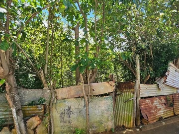 Residential Land