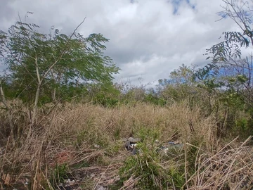 Commercial Land