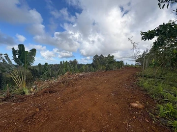 Terrain Agricole