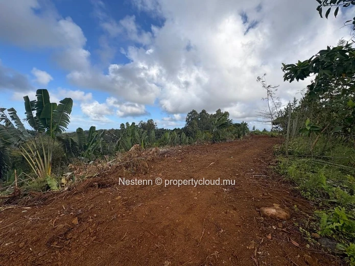One-of-a-kind elevated agricultural plot with spectacular sea, river & mountain views of 4,405.49m² 