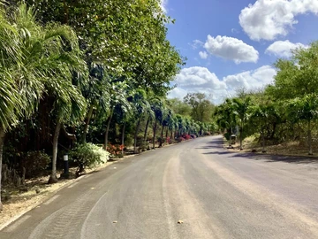 Residential Land