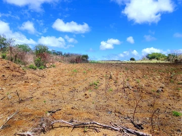 Residential Land