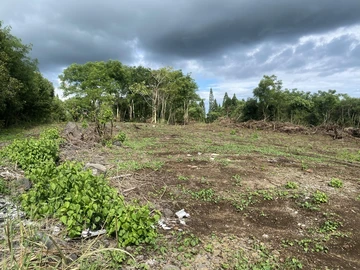 Terrain Agricole