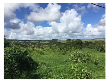Agricultural land for sale in a quiet and natural