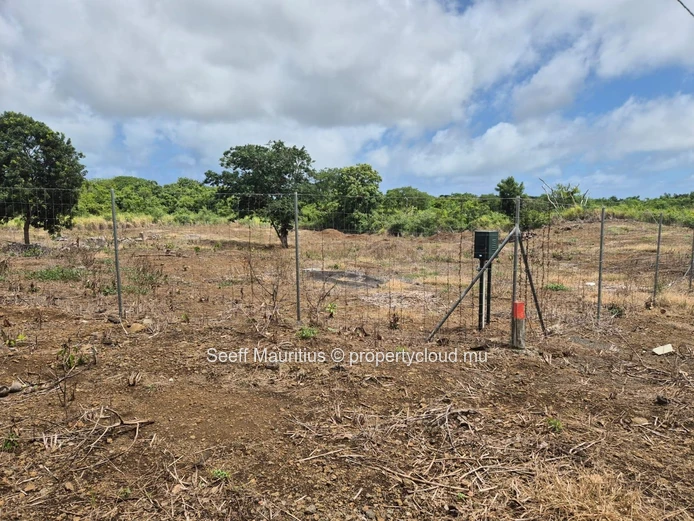 À vendre — Grand terrain agricole à La Forêt d'Aruty