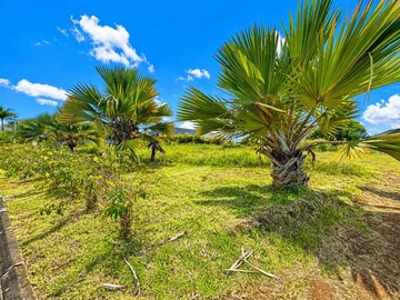Residential Land