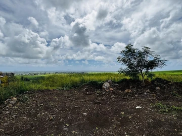 Land