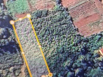 Residential Land
