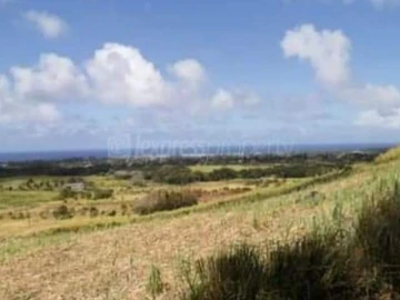 Agricultural Land