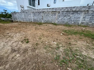 Terrain