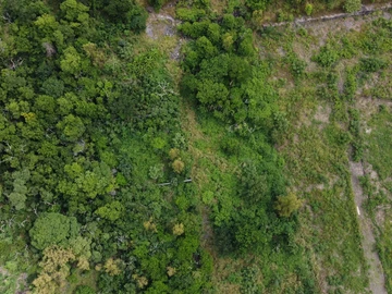 Terrain Résidentiel