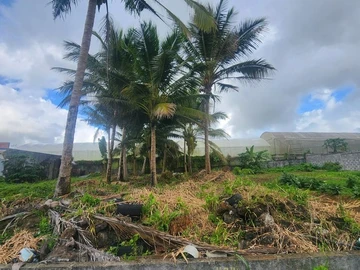 Residential Land