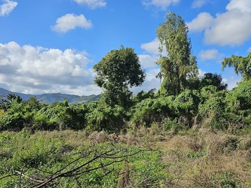 Terrain Résidentiel
