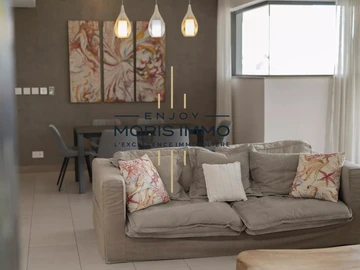 3 Bedroom Penthouse