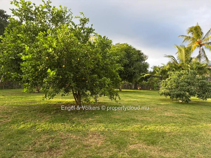 Beautiful 1,160 m² Residential Plot Ready to Build On – Tropical Garden Oasis for Mauritian Citizens