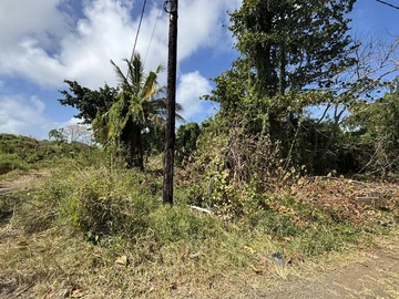 Agricultural Land