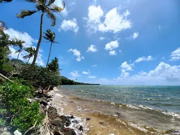 Beachfront and freehold land of 10 acres 60 in Vieux Grand Port.