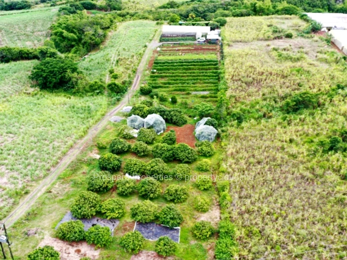 Agricultural Land for Sale in Bassin PRSP244830