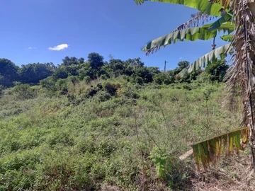 Agricultural Land