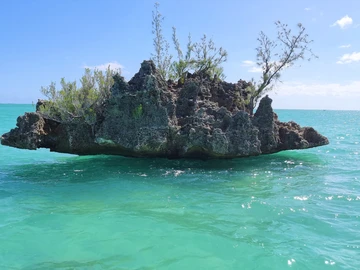 3 Bedroom Penthouse