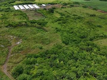 Agricultural Land