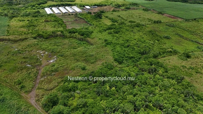 Agricultural land of 12,491.13 m², ideally located in the peaceful and green surroundings 
