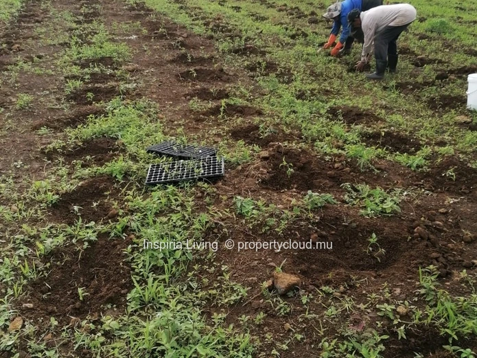 Farm for sale in Chamouny — Sea & Mountain Views