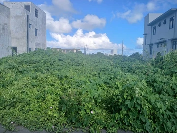 Residential Land