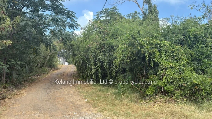 Opportunité de Développement Premium – Calodyne