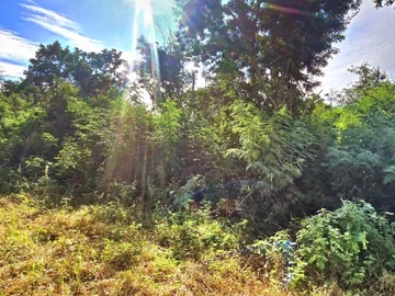 Terrain Commercial