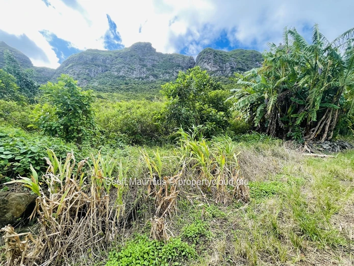 Terrain Agricole avec Vue Imprenable sur les Montagnes – Une Opportunité d'Investissement interessant