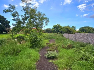 Agricultural Land