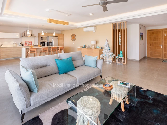 Sumptuous Penthouse with 3 en-suite bedrooms, Choisy les Bains residence